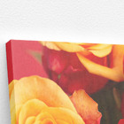 Quadro Rosa Tons De Laranja Foto Decorativo Canvas 60x40cm