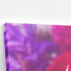 Quadro Rosa Tons De Roxo Foto Decorativo Canvas 100x70cm