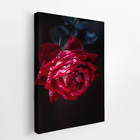 Quadro Rosa Vermelha Com Orvalho Fotografia Canvas 120x80cm