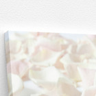 Quadro Rosas Flores Brancas Fotografia Canvas 120x80cm