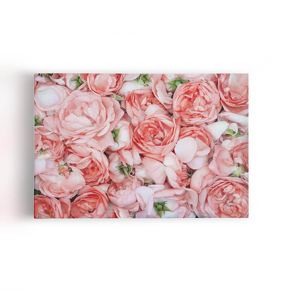 Quadro Rosas Flores Plantas Decorativo Canvas 120x80cm