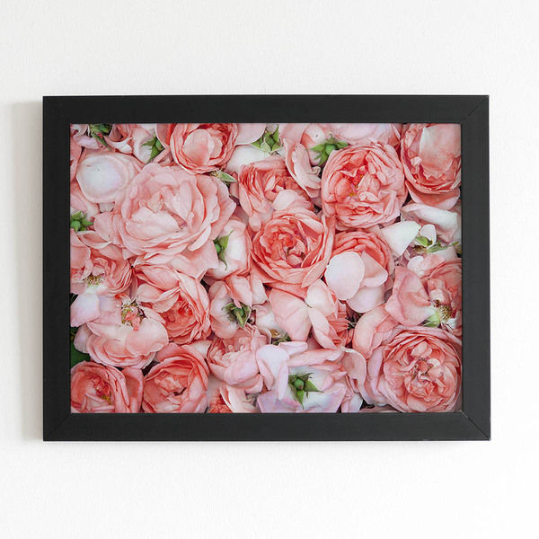 Quadro Rosas Flores Plantas Decorativo Moldura Preta 60x40cm