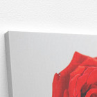 Quadro Rosas Três Flores Decorativo Foto Canvas 140x90cm