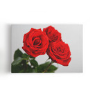 Quadro Rosas Três Flores Decorativo Foto Canvas 60x40cm