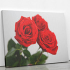 Quadro Rosas Três Flores Decorativo Foto Canvas 60x40cm