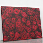 Quadro Rosas Vermelhas Decorativo Fotografia Canvas 60x40cm
