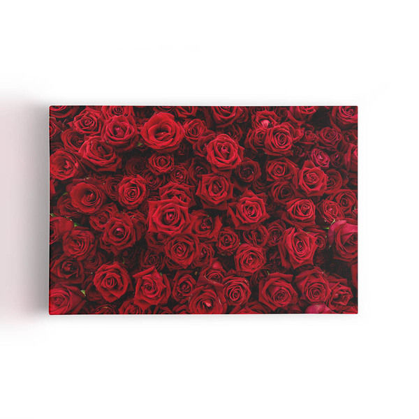 Quadro Rosas Vermelhas Decorativo Fotografia Canvas 60x40cm