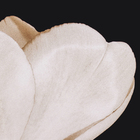 Quadro Sépia I Preto com Vidro 60x90cm Arte Própria