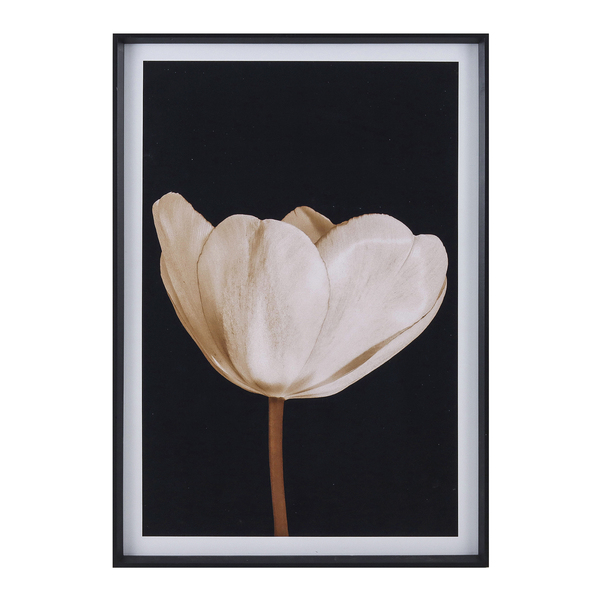 Quadro Sépia I Preto com Vidro 60x90cm Arte Própria