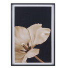 Quadro Sépia II Preto com Vidro 60x90cm Arte Própria