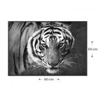 Quadro Tela Animais Com Moldura 90x60cm Belchior