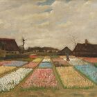 Quadro Tela Canvas Van Gogh, Bulb Fields (1883)
