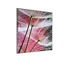 Quadro Tela Decorativa Com Moldura Dente De Leão Fundo Rosa -