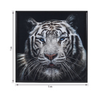Quadro Tigre 1x1m Branco Arte Própria