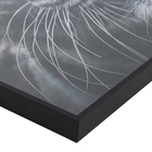 Quadro Tigre 1x1m Branco Arte Própria