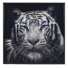 Quadro Tigre 1x1m Branco Arte Própria