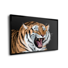 Quadro Tigre Amigo -- Br Artes
