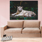 Quadro Tigre Branco -- Br Artes