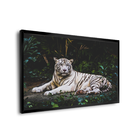 Quadro Tigre Branco -- Br Artes