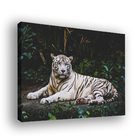 Quadro Tigre Branco -- Br Artes
