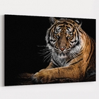 Quadro Tigre Deitado - 1 Tela Estampado