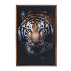 Quadro Tigre Marrom com Vidro 60x90cm Arte Própria