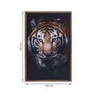 Quadro Tigre Marrom com Vidro 60x90cm Arte Própria