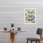 Quadro Trio Borboletas Vintage 33x24cm Moldura:madeira Branca