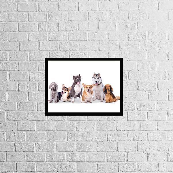 Quadro Turma Pet 24x18cm - Com Vidro Moldura:madeira Branca