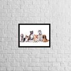 Quadro Turma Pet 33x24cm - Com Vidro Moldura:madeira Branca