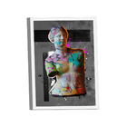 Quadro Vênus Grafite -- Br Artes