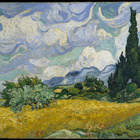 Quadro Vincent Van Gogh Campo De Trigo Com Ciprestes 1889 - P
