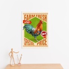 Quadro Vintage Galo - Poster Fazenda 33x24cm Moldura Branca