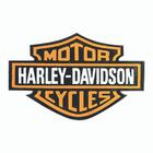 Quadro Vintage Logo Hd