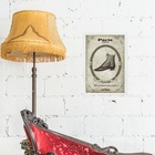 Quadro Vintage Moda Masculina Sapatos 45x34cm - Com Vidro Mol