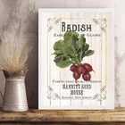 Quadro Vintage Para Cozinha Rabanete 33x24cm Moldura Preta