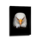 Quadro Visão De Águia -- Br Artes