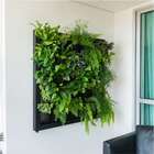 Quadro Vivo 113cm  X 120cm Casa Dona