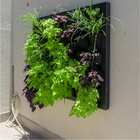 Quadro Vivo 149cm X 120cm Casa Dona