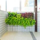 Quadro Vivo 168cm X 63cm Casa Dona