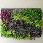 Quadro Vivo 168cmX 120cm Casa Dona