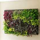 Quadro Vivo 168cmX 120cm Casa Dona