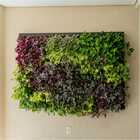 Quadro Vivo 168cmX 120cm Casa Dona