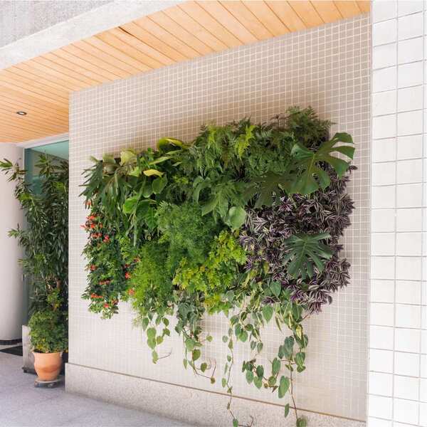 Quadro Vivo 223cm X 120cm Casa Dona