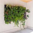 Quadro Vivo 223cm X 120cm Casa Dona