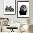 Quadro Zebra Namíbia Preto E Branco 50x70cm