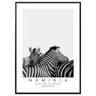 Quadro Zebra Namíbia Preto E Branco 50x70cm