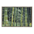 Quadro Zen Bambu Verde 90x60cm Inspire