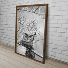 Quadros 60x90 Ninho