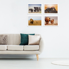 Quadros Animais Safari para Sala Moldura Branca 22x32cm 4un